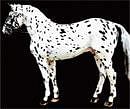 ART RESEMBLES LIFE  A modern horse with leopard spots like those seen in France's Pech-Merle cave. (Thomas Hackmann via NYT)