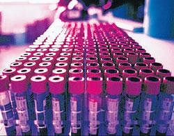 India's first cancer vaccine to start human trial