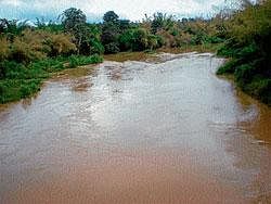 File Photo. River Cauvery