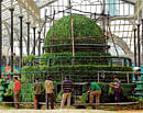 Nearing completion: A team of florists give final touches to the South Korean Pagoda, a main attraction at the Republic Day flower show, at Lalbagh on Wednesday. DH Photo