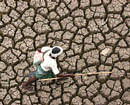 Karnataka MPs protest for drought relief