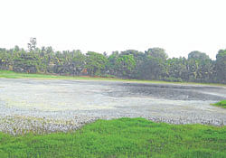 N R Pura Veerammaji lake crying for attention