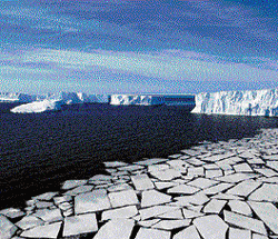 West Antarctic Ice Sheet collapse predicted