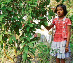 GREEN LEGACY The daughters of Dharhara inherit the fruit-bearing trees once they grow up. Pic courtesy/WFS.