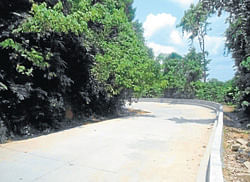 A view of concreted Balebare road near Siddapura. (