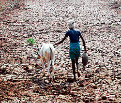 'PM's rehab package not reaching deserving farmers'