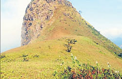A view of Yetthinabuja hill in Shishila.