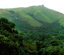 refreshing Hulivana offers an unbelievable vista of mist-clad mountains and dark forests.