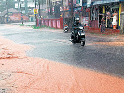 Welcome showers Mangalore receives heavy rain on Monday. DH photo