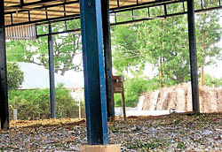 Mango outlets in Srinivaspur APMC wear a deserted look on Monday, due to undeclared strike by the traders.&#8200;DH Photo