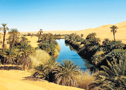 Sahara was once green: Study