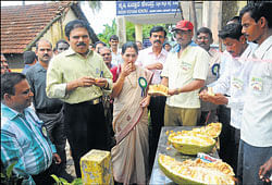 ZP CEO Dr K N Vijayprakash and ZP President K T Shailaja Bhat taste a bulb at the inauguration of jackfruit mela at Fisheries College in Mangalore on Saturday. DH photo