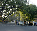 550 trees to be axed for flyover