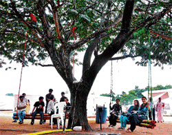 letting go Youngsters got a chance to swing under the tree.  DH PHOTOS by manjunath m s