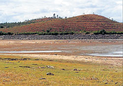 Sollekere lake that provides drinking water to Nagamangala town has gone dry. dh photo