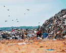 Eye sore:  The Mavallipura landfill near Yelahanka.  DH Photo