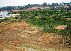Dying away: The Gowdanakere tank behind Gautam Nagar in Kolar Gold Fields is now merely a patch of dry land. dh photo