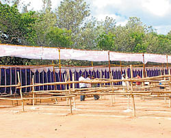Readying: Stalls set up at the SJCIT, Chikkaballapur, for the two-day mega job fair on Saturday and Sunday. dh photo