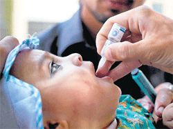 endless war: A Pakistani child is given a polio vaccination by a district health team worker outside a children's hospital in Peshawar,  Pakistan.