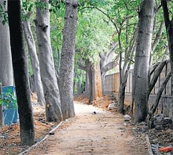 Horticulture dept lays running track in Cubbon Park