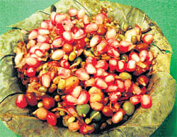crunchy  Sprout chaat