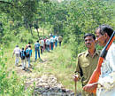 Strict process: Trekkers need to obtain prior permission before venturing into Bannerghatta National Park.