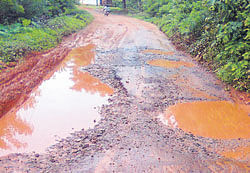 Vittal-Salethur road is filled with potholes, causing a great inconvenience to the public.
