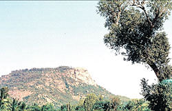 prepared Its important to ensure ones sense of navigation while trekking in forested areas like the Nandi Hills.