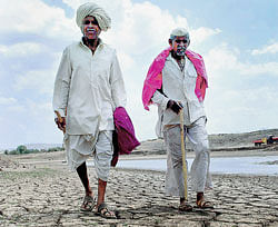 PARCHED PROSPECTs: Farmers walk on a dried-up lake bed in drought-hit Maan Taluka in Satara, Maharashtra. PTI