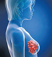 Gene behind breast cancer discovered
