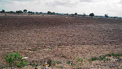 A parched farmland at Itagi village in Huvinahadagali taluk of Bellary district. DH Photo