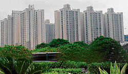 Foliage: A view of the greens and high rises in Indirapuram.