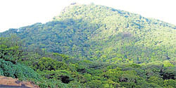 A panoramic view of the Western Ghats.