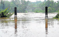 AIN&#8200;HAVOC: The Hosmata bridge across Gundya river that connects Uppinangady and Subramanya submerged on Saturday too following heavy rains