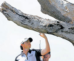 tricky situation: Rory McIlroy retrieves the ball after it was lodged in a tree branch on the third hole the PGA Championship on Saturday. REUTERS
