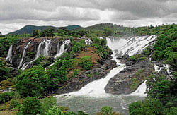Glorious fall: The Bharachukki Falls in Kollegal taluk of Chamarajanagar district. DH photo