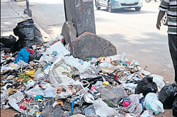 Heap of garbage dumped on Infantry Road.&#8200;DH Photo
