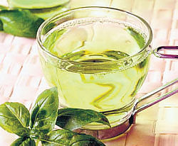 Green tea improves brain function in HIV patients
