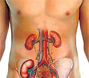 What's your risk of developing kidney failure?