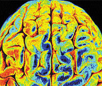 Brain scan can reveal if you are lying about your age!