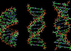 Scientists encode entire book in DNA