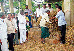 Farmers collect fodder for cattle at the Goshale that was opened at Panchanahalli in Kadur taluk on Wednesday. APMC President Chikkadevanur Ravi and others hand over the fodder to the farmers.