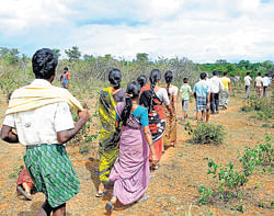 Tragedy strikes: Villagers on their way to the forest after a tiger mauled a woman to death at Bommalapura hadi in HD&#8200;Kote taluk in Mysore district on Saturday. dh photo
