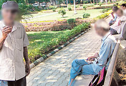 Secure: Many senior citizens prefer to visit parks in groups.