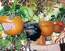 striking display Some of the helmets which have been converted into flower pots. D H Photo by Shivakumar B H
