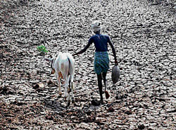 Rs 232-crore relief package for drought-hit farmers