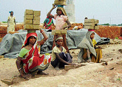 ENDLESS TOIL : Brick kiln workers labour without welfare, health support, insurance or sick leave. Pic COURTESY WFS.