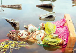 Ganesha idol made of chemical colours floats, days after its immersion.