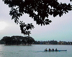 SERENE Madras Sappers rowing at Ulsoor lake in Bangalore. (DH file photo)