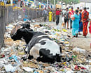 Pictures of streets littered with garbage can be uploaded on the BBMP website, triggering an instant alert message.